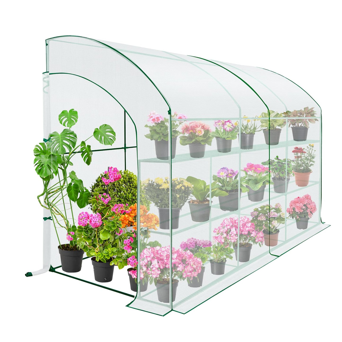 EAGLE PEAK 3 Tier Lean to Portable Greenhouse, Heavy-Duty Indoor & Outdoor Garden with Wire Shelves, 2 Roll-Up Zipper Doors, Easy Assembly, 79"x39"x83" Clear/Green PE Cover
