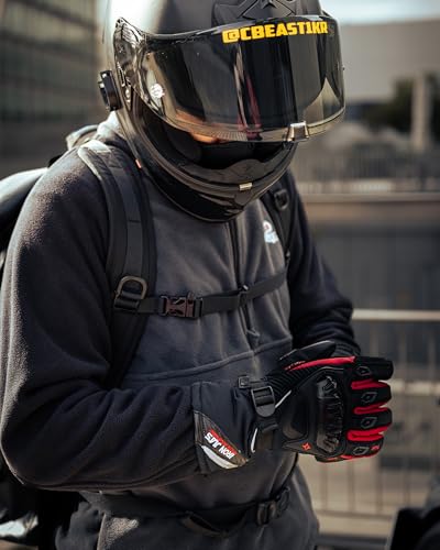 IRON JIA'S Motorcycle Gloves Winter Cold Weather Warm Touchscreen Waterproof Windproof Protective Gear (Black, L)