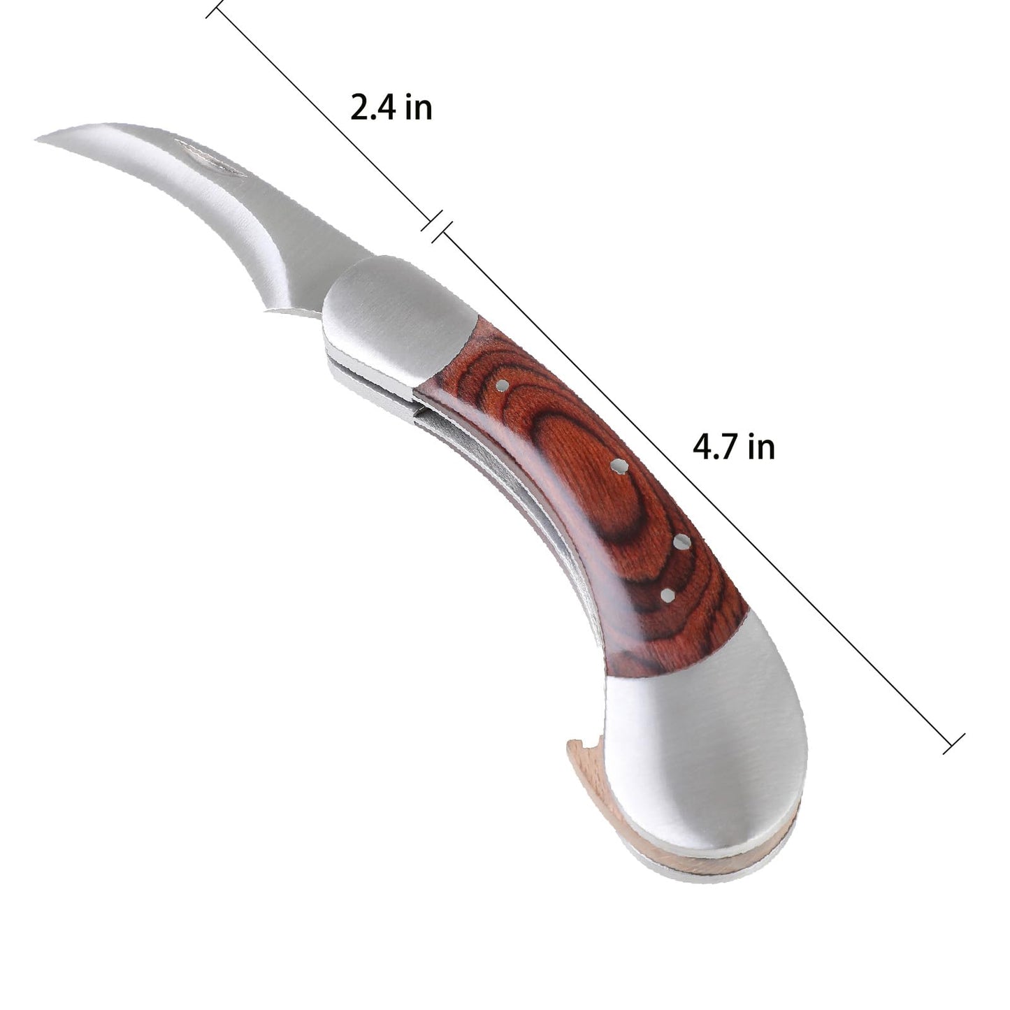 Mushroom Knife with Brush and Sheath, Curved Stainless Steel Blade, Hardwood Handle, 7.1 Inch Folding Design, for Morels, Porcini, Chanterelles, Foraging Mushroom Gifts