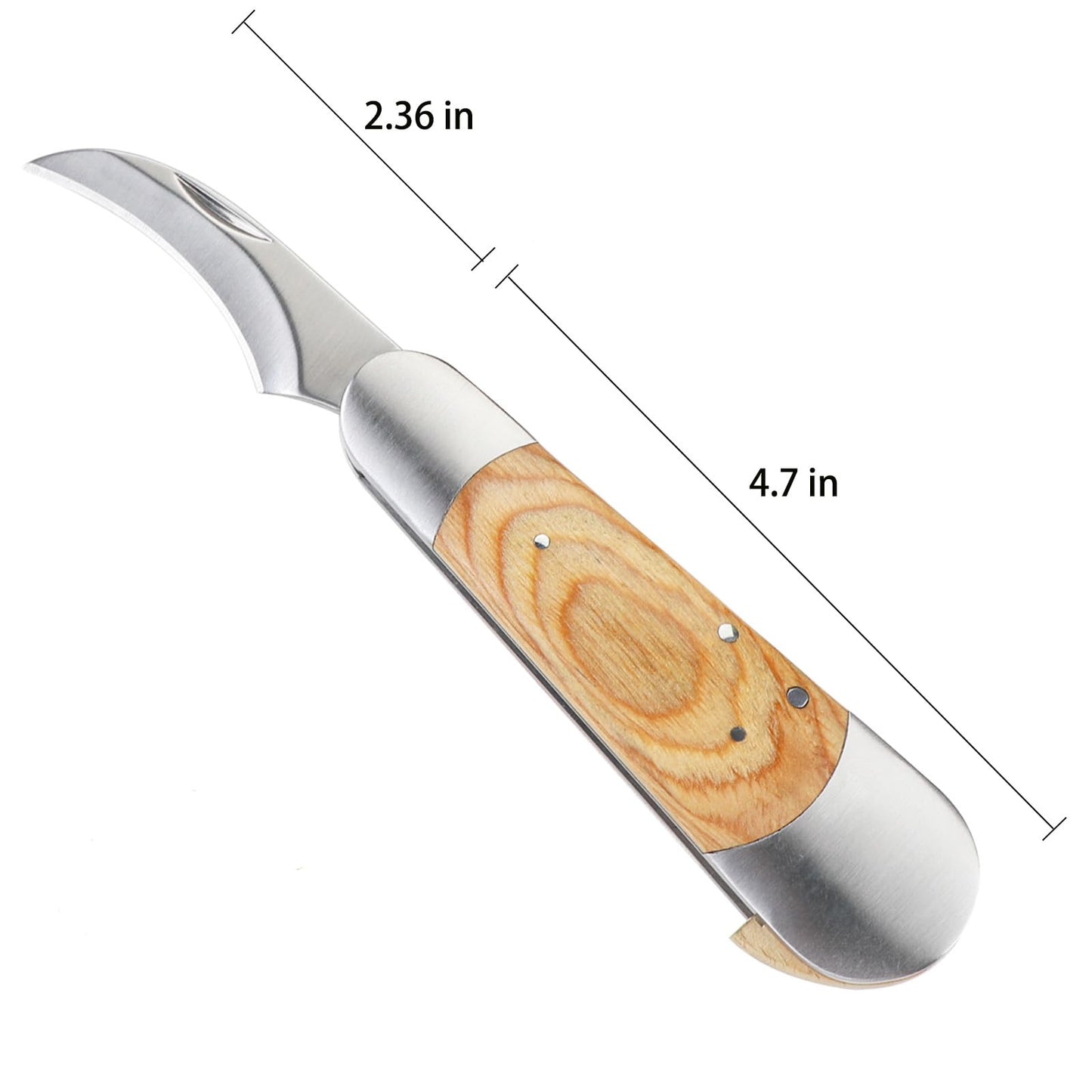 Mushroom Knife with Brush and Sheath, Curved Stainless Steel Blade, Hardwood Handle, 7.1 Inch Folding Design, for Morels, Porcini, Chanterelles, Foraging Mushroom Gifts