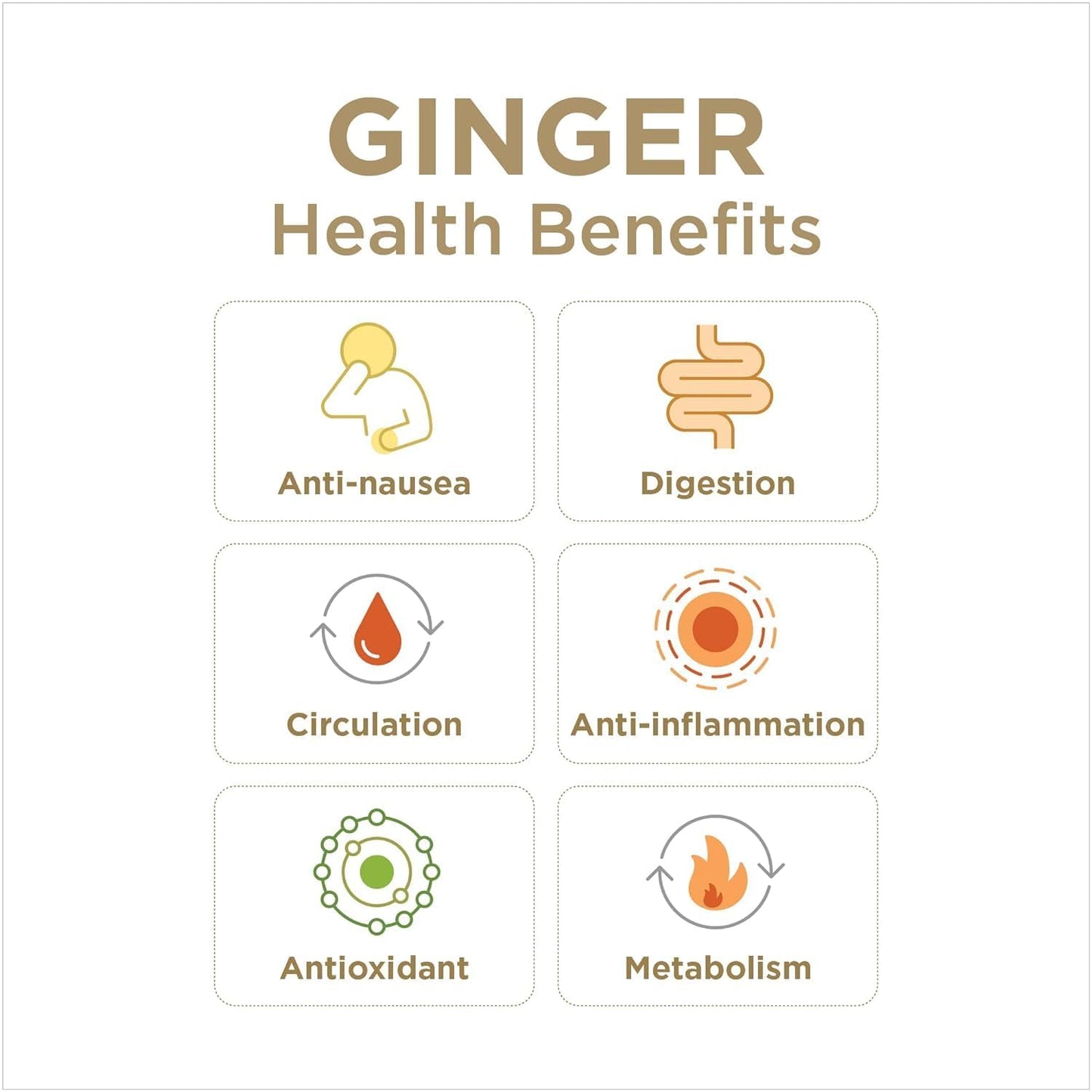 GIN GINS Spicy Apple Ginger Chews – Natural Fresh Ginger Candy by The Ginger People – Individually Wrapped Healthy Candy – Spicy Apple Ginger Flavor – Large 1 lb Bag (16oz) – Pack of 1