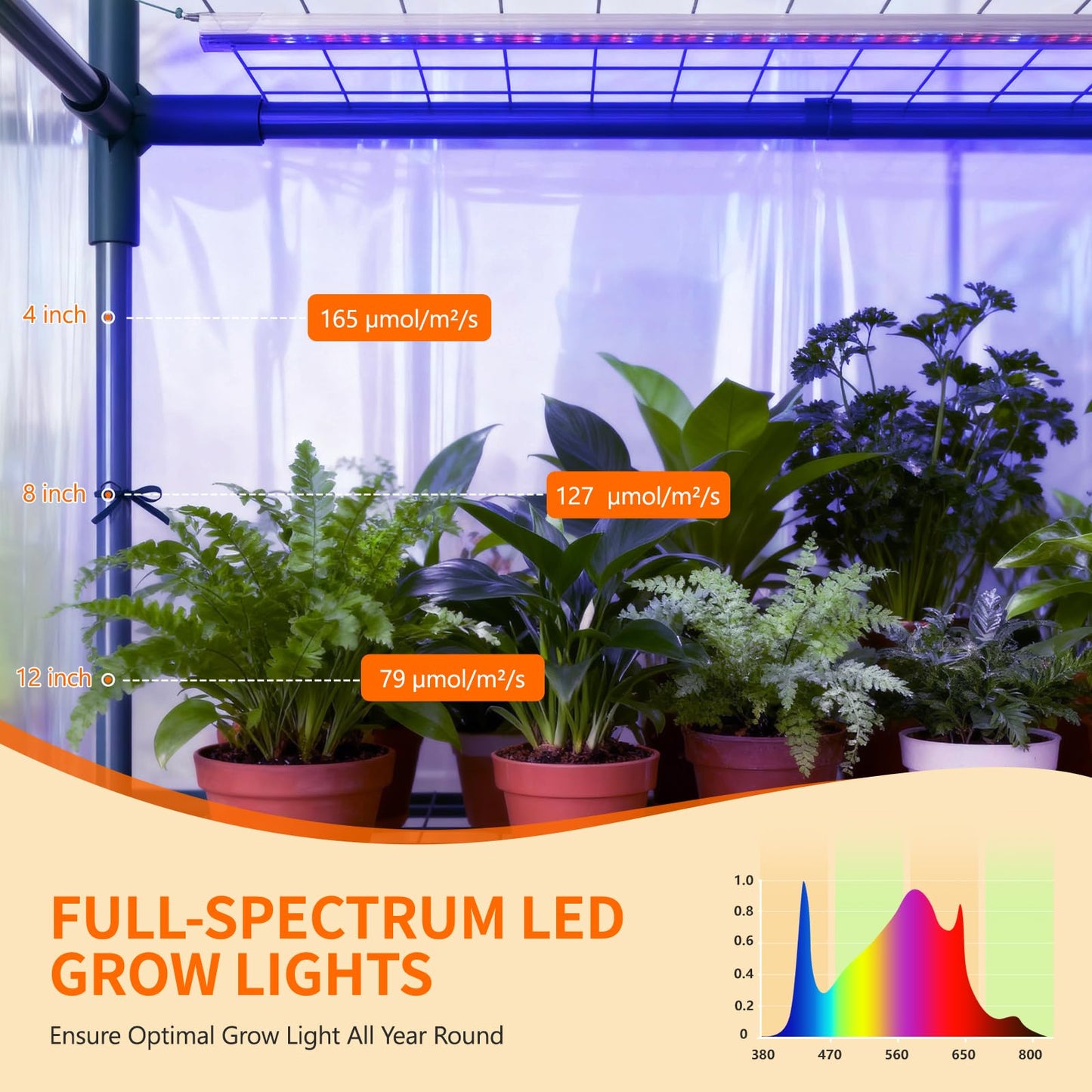 Indoor Greenhouse with Grow Light, 4-Tier Mini Greenhouse 56.3"x28.7"x76.8" Small Greenhouse with Zippered PVC Cover for Seed Starting Trays, Dimmable Plant Light for Indoor Plants with Timer
