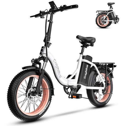 1000W Folding Electric Bike,48V 20AH Removable Battery E Bike,30+MPH,80 Miles Max Range Electric Bike for Adults,20" Fat Tire Foldable ebike,Adult Electric Bicycle for Commute Beach Snow