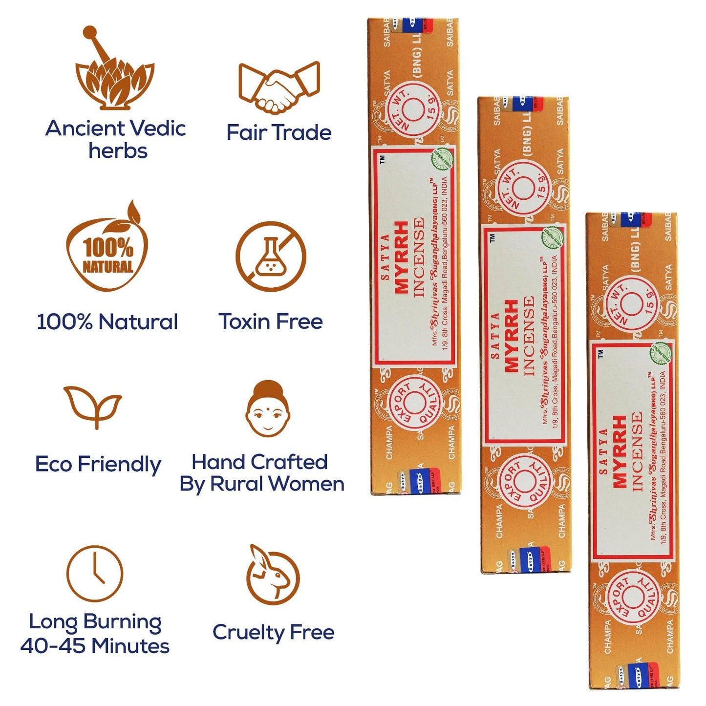 Satya Divine Blessings Incense Sticks, Satya Bng (Bangalore) Insenses 15gmx12 Pack with Raajsee Incense Holder Bundle, Satya Nagchampa Natural Incense