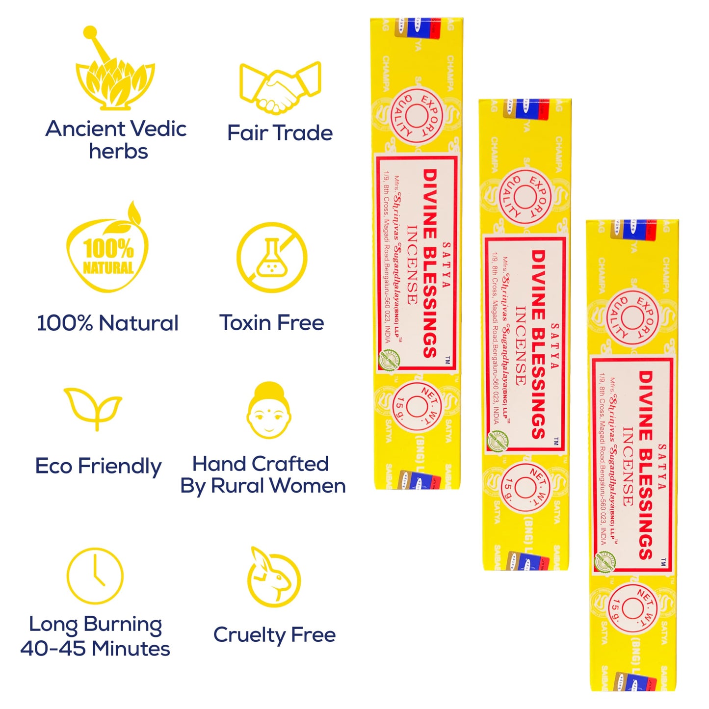 Satya Divine Blessings Incense Sticks, Satya Bng (Bangalore) Insenses 15gmx12 Pack with Raajsee Incense Holder Bundle, Satya Nagchampa Natural Incense