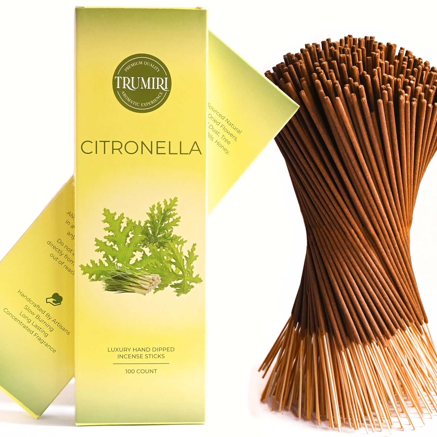 Pine Incense Sticks - Bulk Pack of 100 Insence-Sticks - Made with Natural Pino Oil - Scented Incienso Aromaticos Non Toxic Inscent Insense
