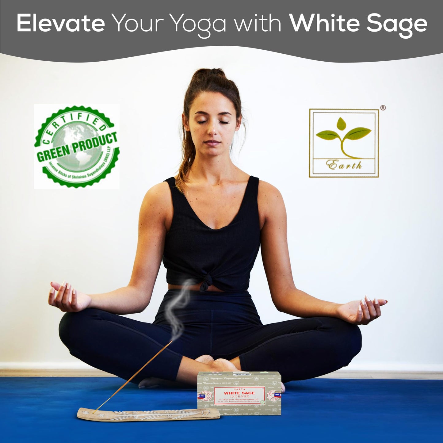 Satya Divine Blessings Incense Sticks, Satya Bng (Bangalore) Insenses 15gmx12 Pack with Raajsee Incense Holder Bundle, Satya Nagchampa Natural Incense