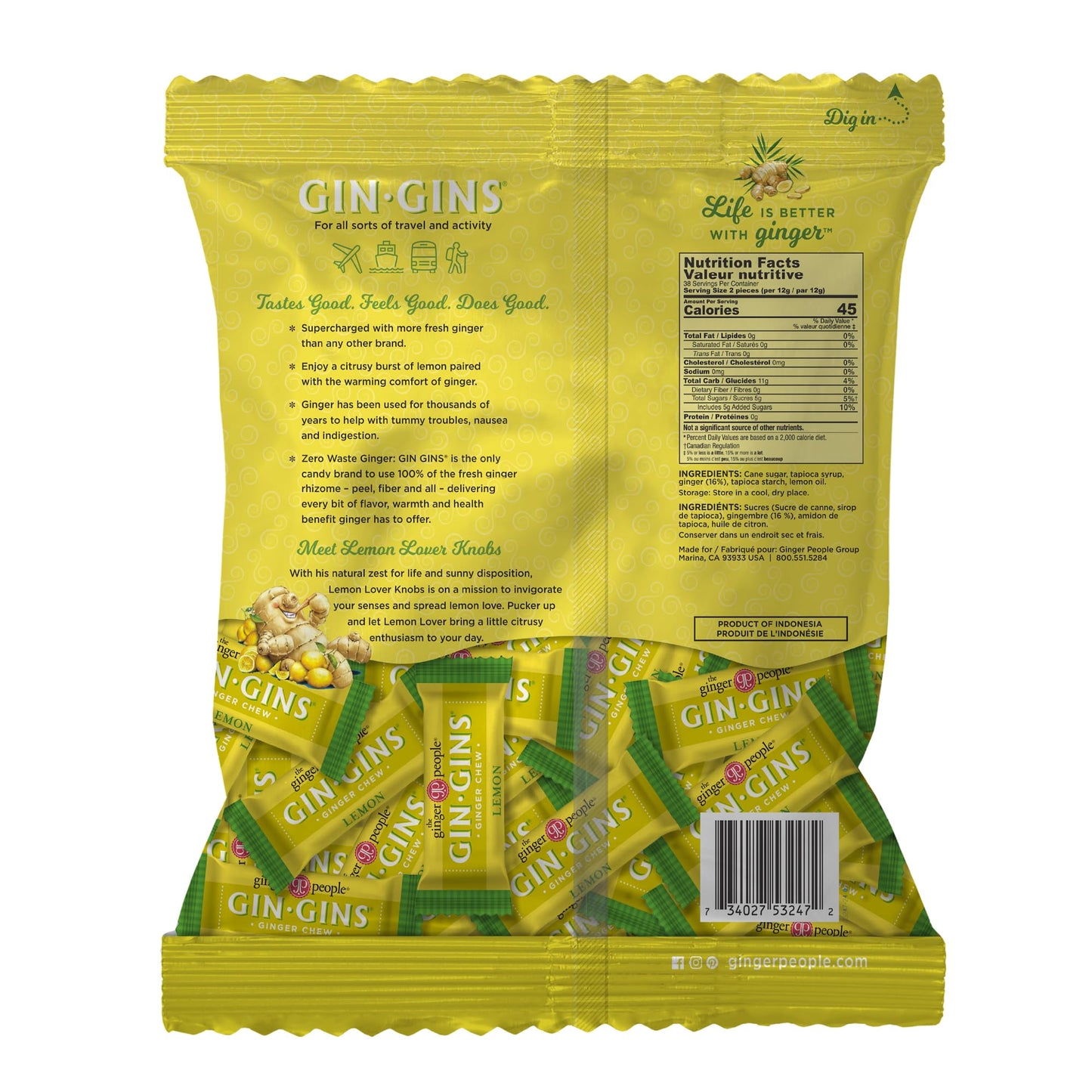 GIN GINS Spicy Apple Ginger Chews – Natural Fresh Ginger Candy by The Ginger People – Individually Wrapped Healthy Candy – Spicy Apple Ginger Flavor – Large 1 lb Bag (16oz) – Pack of 1