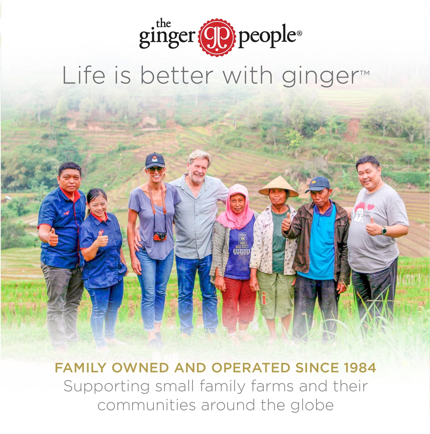 GIN GINS Spicy Apple Ginger Chews – Natural Fresh Ginger Candy by The Ginger People – Individually Wrapped Healthy Candy – Spicy Apple Ginger Flavor – Large 1 lb Bag (16oz) – Pack of 1