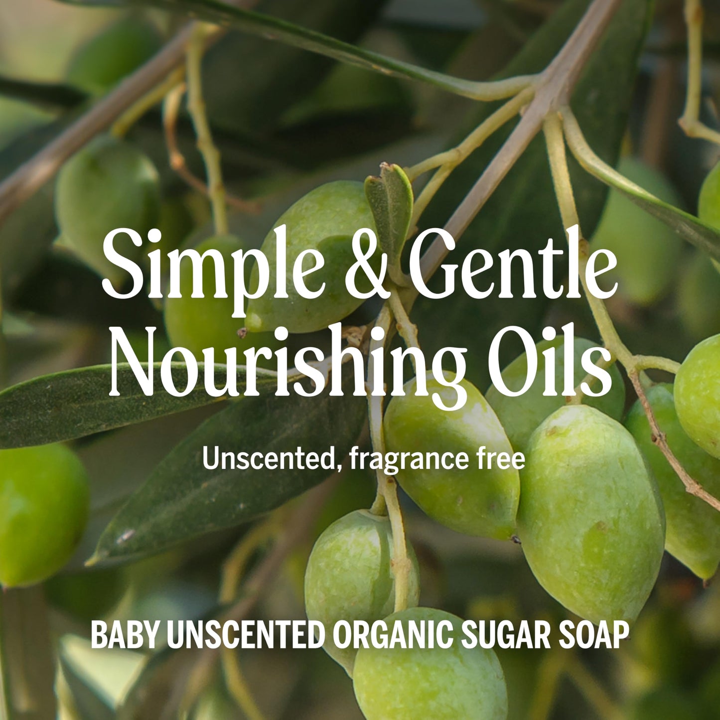 Dr. Bronner's - Organic Sugar Soap (Lemongrass, 24 Ounce) - Made with Organic Oils, Sugar and Shikakai Powder, 4-in-1 Uses: Hands, Body, Face and Hair, Cleanses, Moisturizes and Nourishes, Vegan