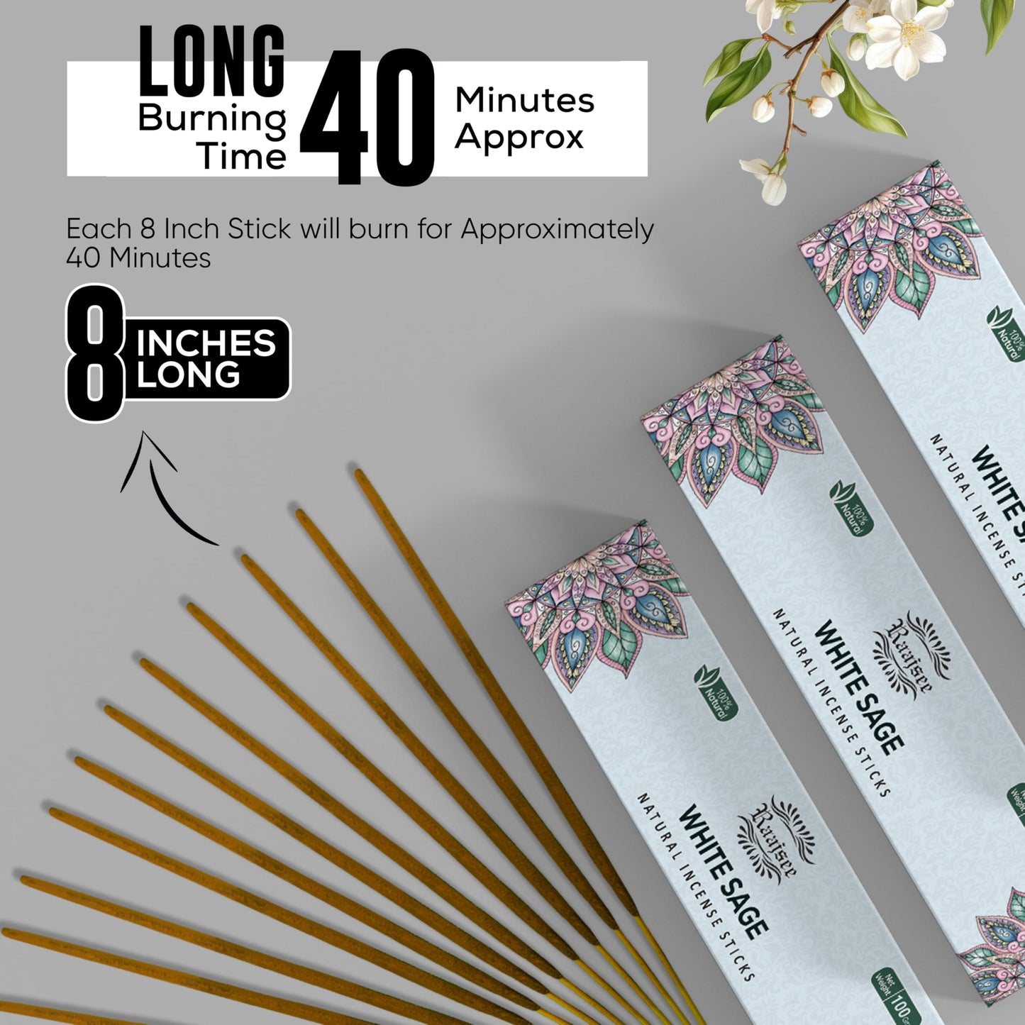 Raajsee Dragons Blood Incense Sticks (180 gm), 100% Pure Organic Natural Hand Rolled Free from Chemicals, (Pack of 12) Visit The raajsee Store