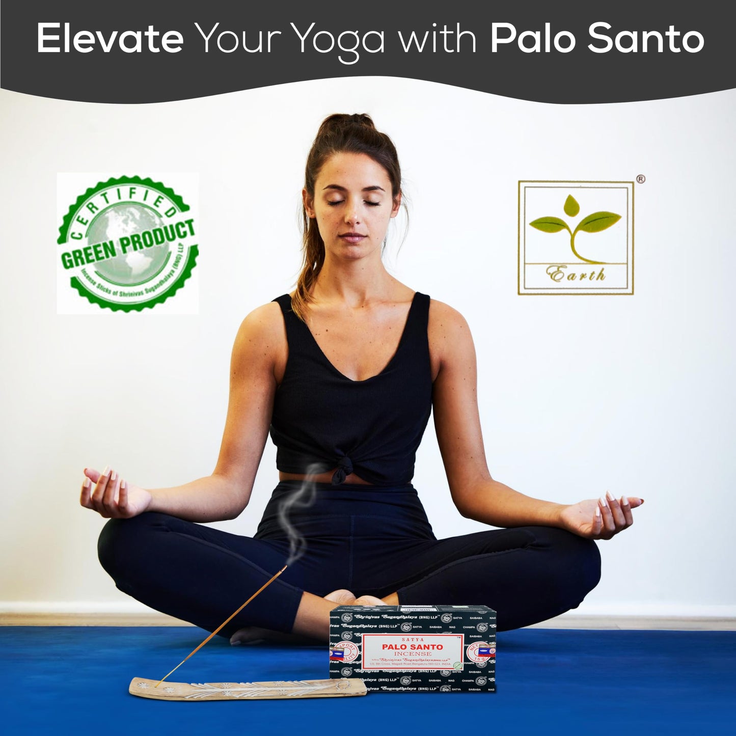Satya Divine Blessings Incense Sticks, Satya Bng (Bangalore) Insenses 15gmx12 Pack with Raajsee Incense Holder Bundle, Satya Nagchampa Natural Incense