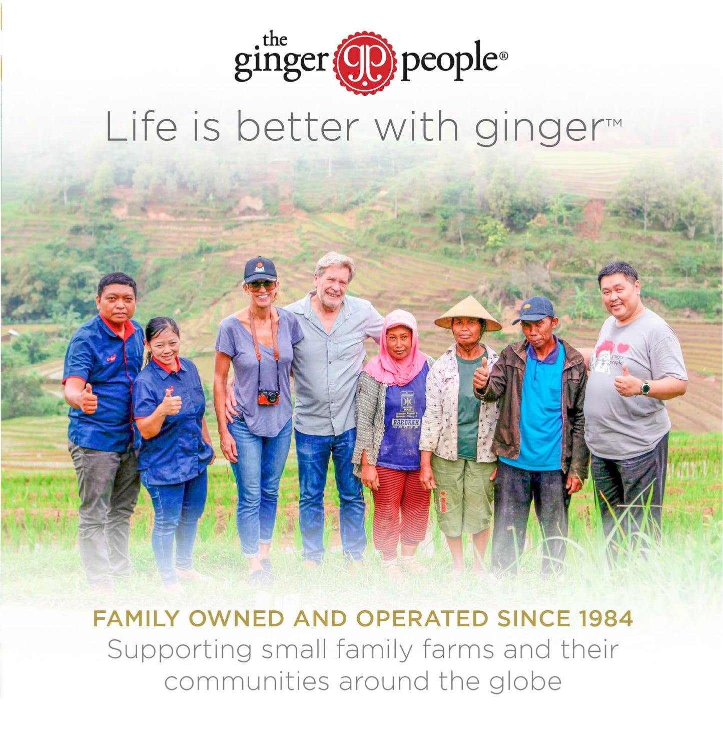 GIN GINS Ginger Chews – Natural Fresh Ginger Candy by The Ginger People – Individually Wrapped Healthy Candy – Original, Apple, Peanut and Turmeric Flavors – Variety Pack – 4 x 3oz bag each flavor (Pack of 4 bags)