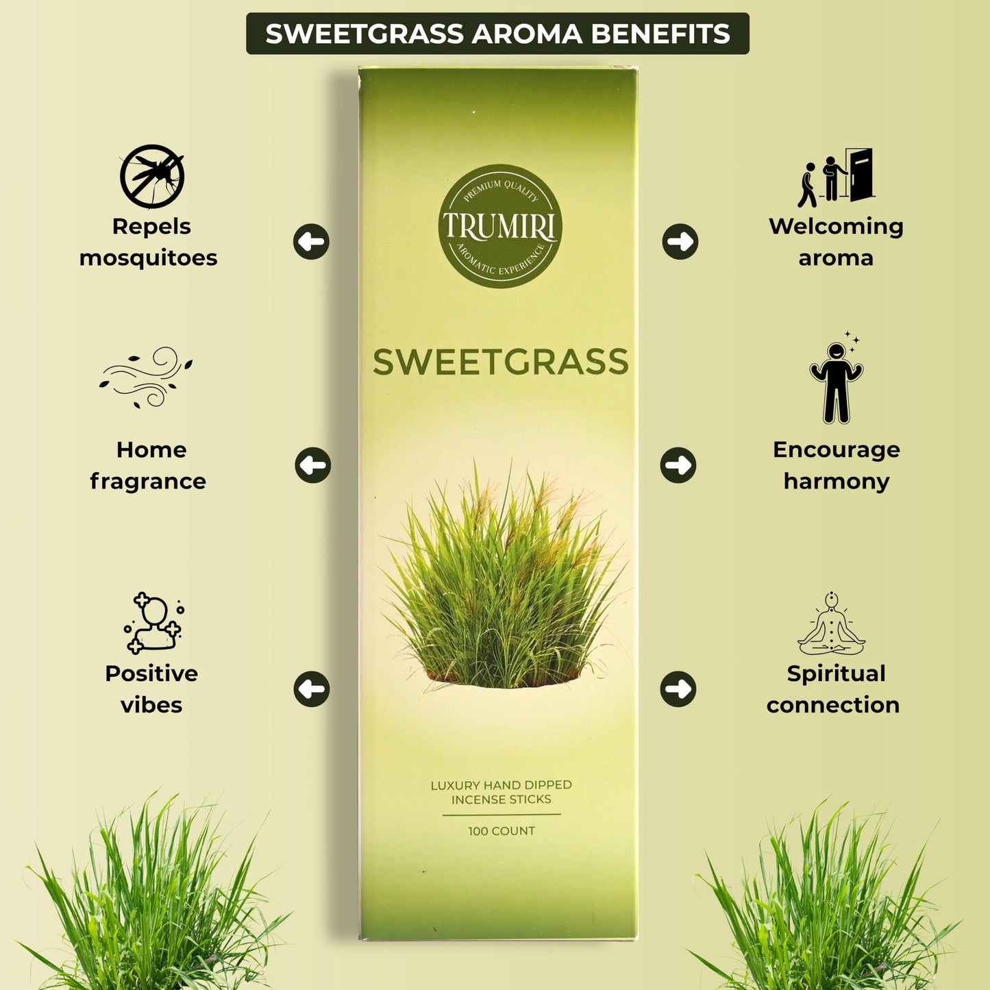Pine Incense Sticks - Bulk Pack of 100 Insence-Sticks - Made with Natural Pino Oil - Scented Incienso Aromaticos Non Toxic Inscent Insense