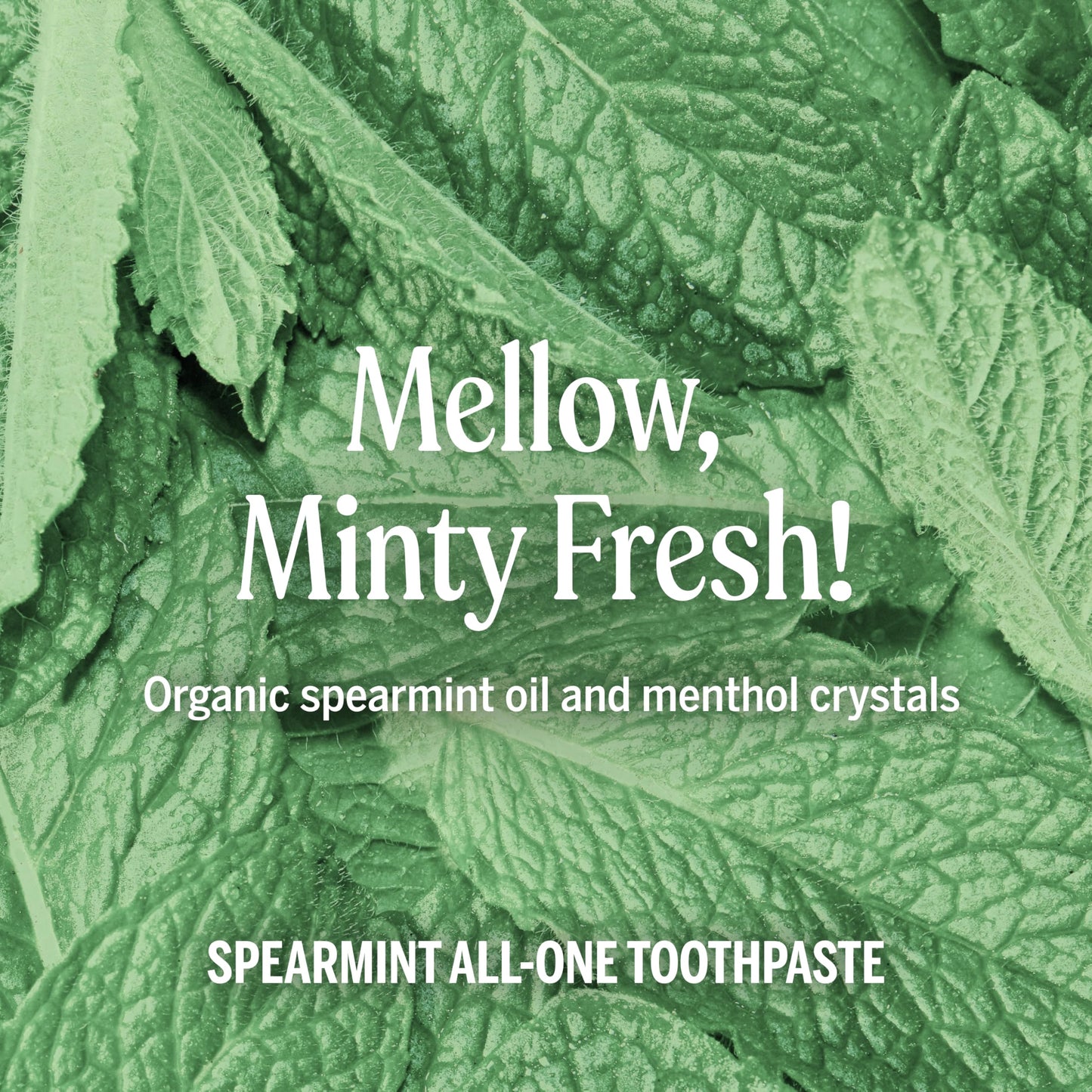 Dr. Bronner’s All-One Toothpaste Pack of 3– Peppermint, 5 oz– Fluoride-Free Toothpaste for Adults, SLS-Free, 70% Organic & Natural Ingredients, Vegan, Helps Freshen Breath & Reduce Plaque