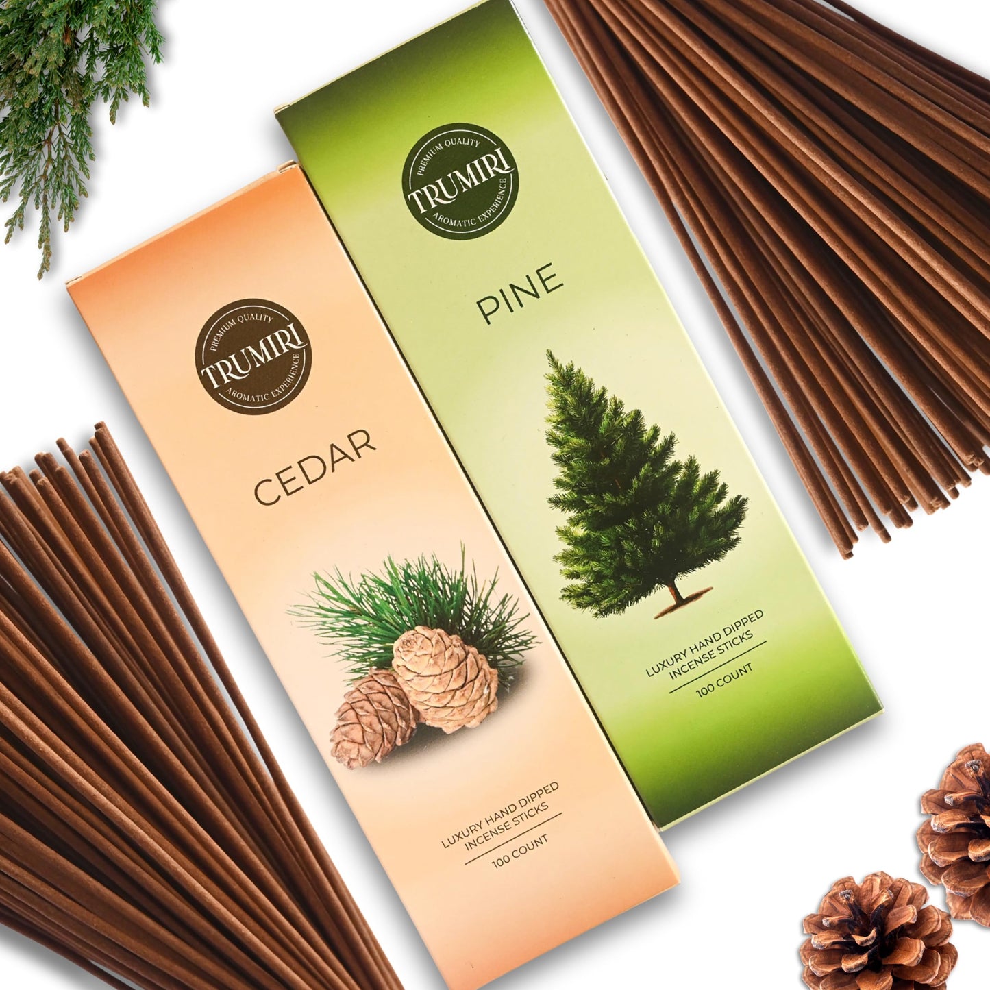 Pine Incense Sticks - Bulk Pack of 100 Insence-Sticks - Made with Natural Pino Oil - Scented Incienso Aromaticos Non Toxic Inscent Insense