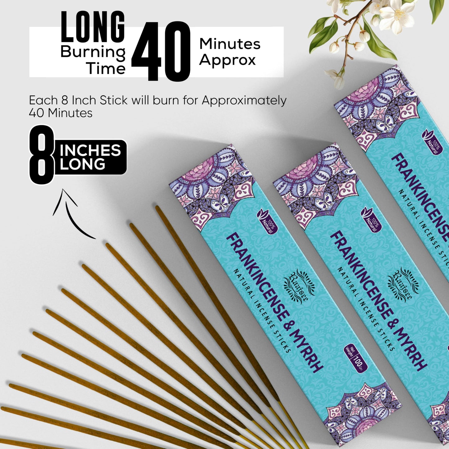 Raajsee Dragons Blood Incense Sticks (180 gm), 100% Pure Organic Natural Hand Rolled Free from Chemicals, (Pack of 12) Visit The raajsee Store