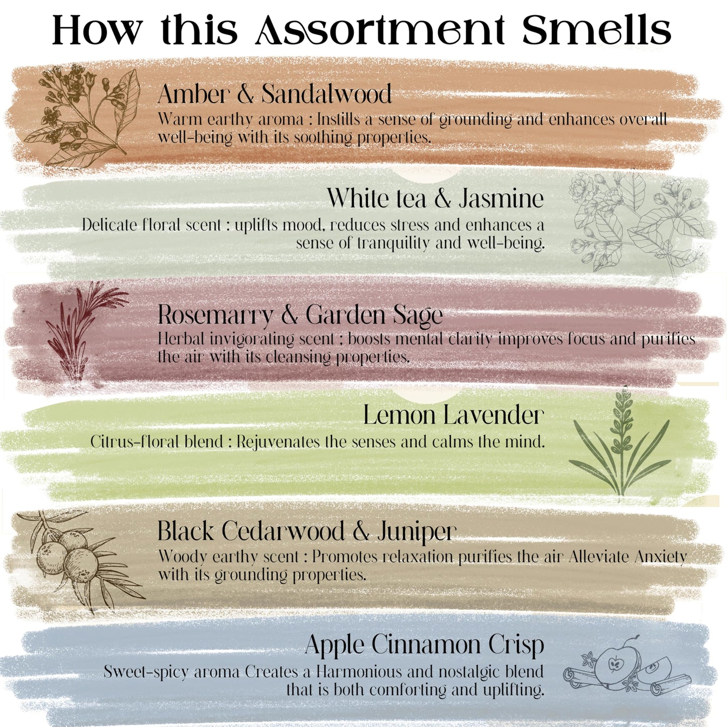 Raajsee Natural Incense Sticks with Insence Holder- Pack of 6 Organic Inscent -120 Insense Sticks, Non Toxic Clean Burning, Boho Gift Set, Sage,Apple Pumpkin,Coconut, Coffee,Rosemary Patchouli