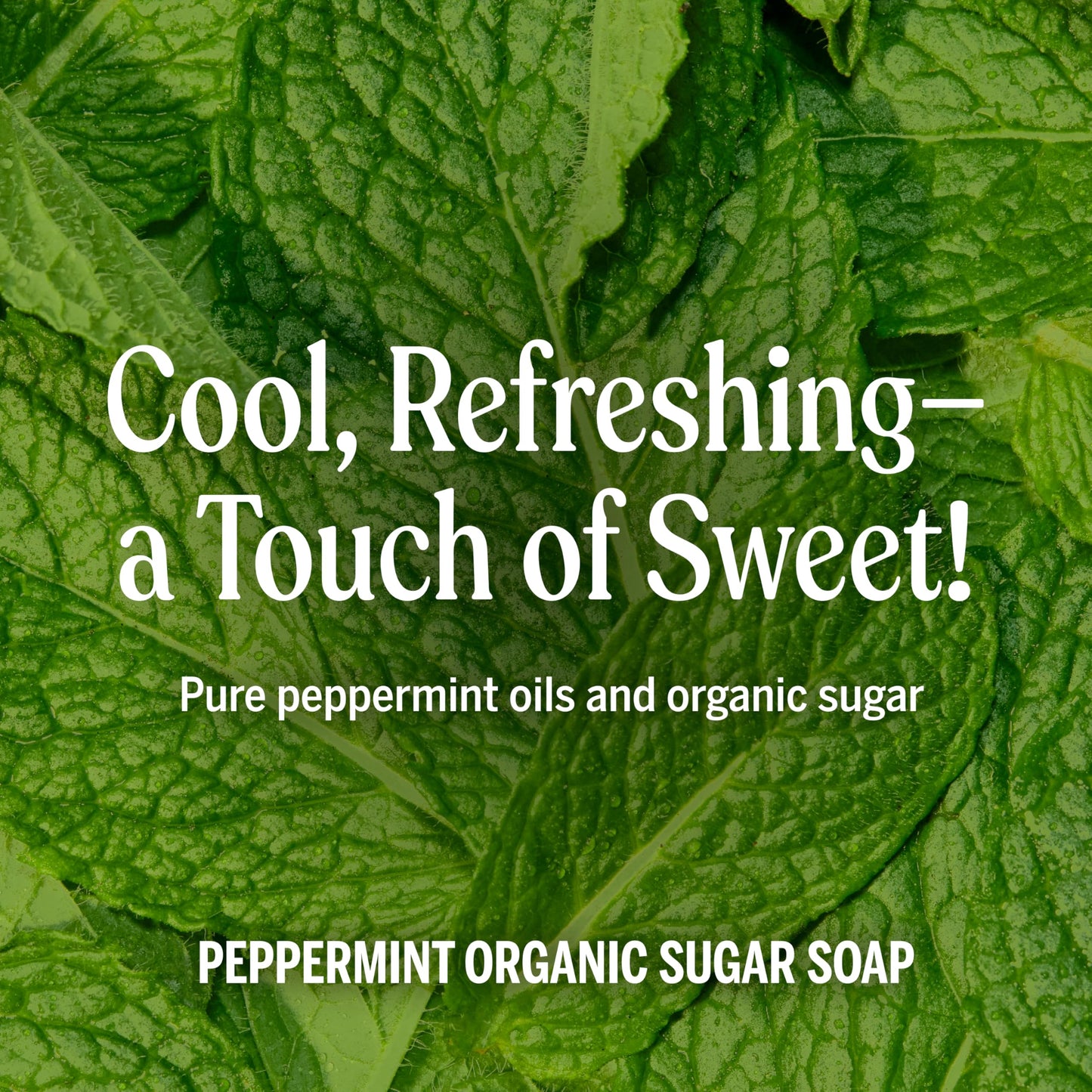 Dr. Bronner's - Organic Sugar Soap (Lemongrass, 24 Ounce) - Made with Organic Oils, Sugar and Shikakai Powder, 4-in-1 Uses: Hands, Body, Face and Hair, Cleanses, Moisturizes and Nourishes, Vegan