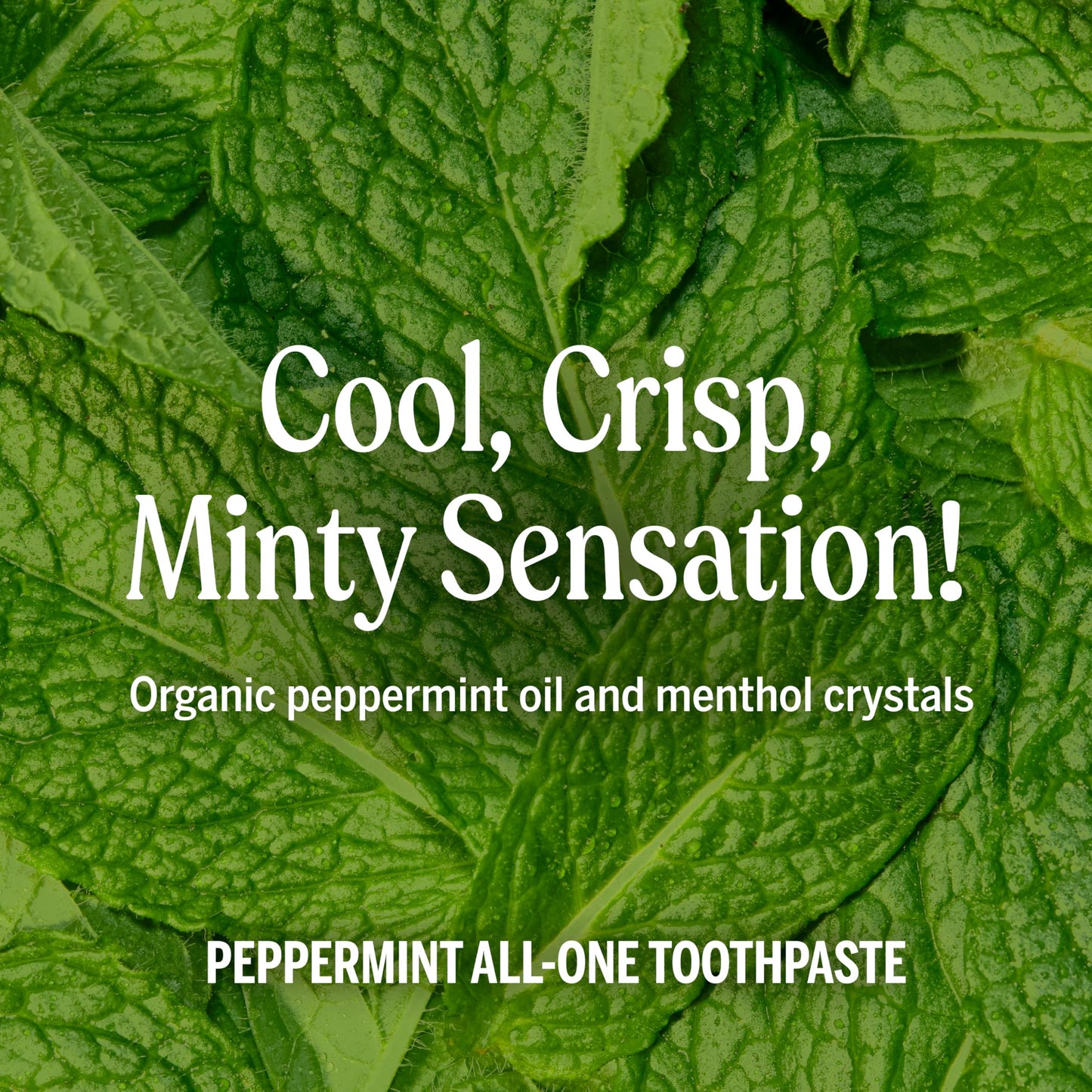 Dr. Bronner’s All-One Toothpaste Pack of 3– Peppermint, 5 oz– Fluoride-Free Toothpaste for Adults, SLS-Free, 70% Organic & Natural Ingredients, Vegan, Helps Freshen Breath & Reduce Plaque