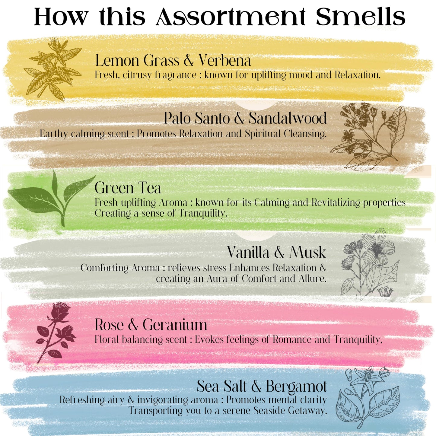 Raajsee Natural Incense Sticks with Insence Holder- Pack of 6 Organic Inscent -120 Insense Sticks, Non Toxic Clean Burning, Boho Gift Set, Sage,Apple Pumpkin,Coconut, Coffee,Rosemary Patchouli